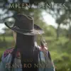 Llanero Nato