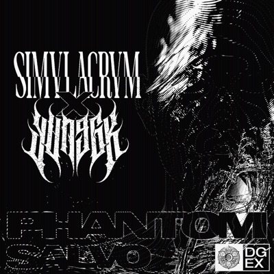 Phantom Salvo - Single