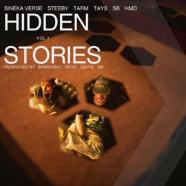 Time Ticks (feat. Tarm, Daiya & SinekaVerse) Hidden Stories