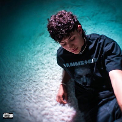 La Despedida (feat. Luh Blxze & DeadGoeth) - Single