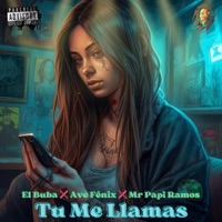 Tu Me Llamas - Single - bj. produciendo
