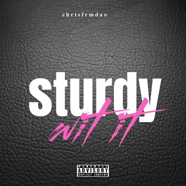 Sturdy wit it (feat. WARZ 2x) - Single