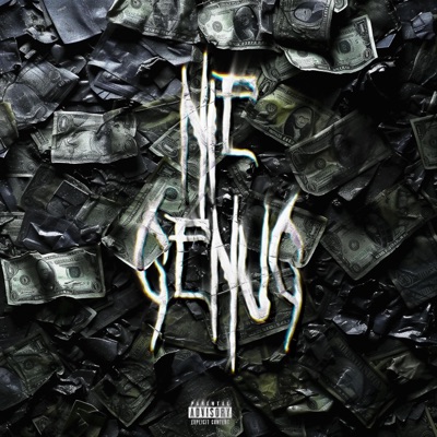 Nie Genug - Single
