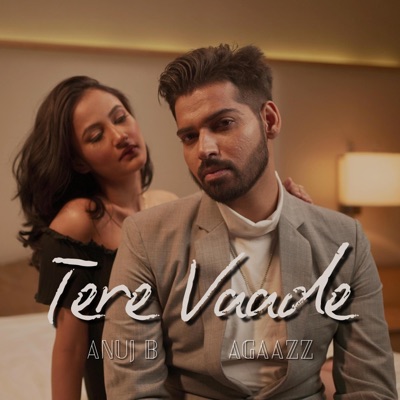 Tere Vaade - Single