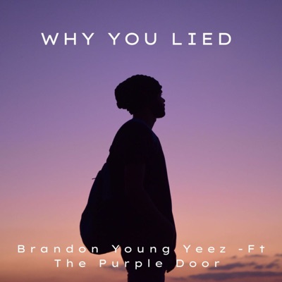 Why You Lied (feat. The Purple Door) - Single