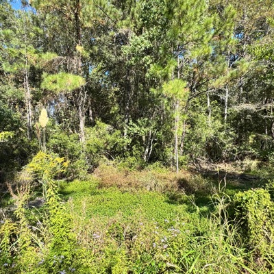 go on now (feat. blingbenzy) - Single