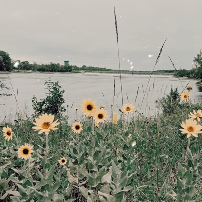 Summer - Single