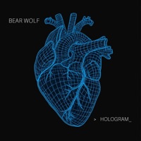 Album cover for Hologram by Bear Wolf