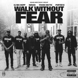 Walk Without Fear (feat. Young Devyn) Dj Big Skipp, Serani & Porter B
