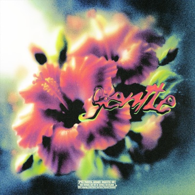 Gentle - Single