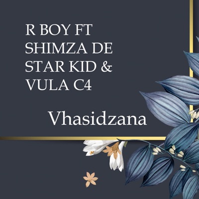 Vhasidzana (feat. Shimza de star kid & Vula c4) - Single