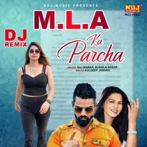 M.L.A Ka Parcha (DJ REMIX)