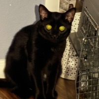 Cycle 2 - Single - 4glqqmy