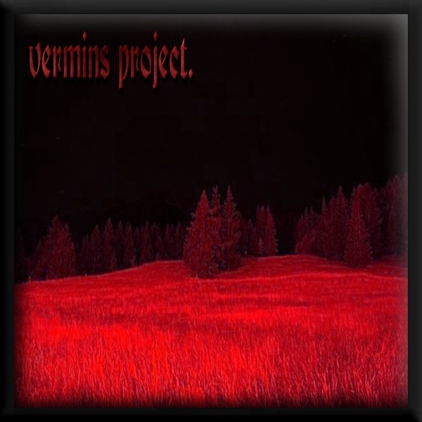 Vermins Project