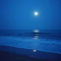 You Will Come Back