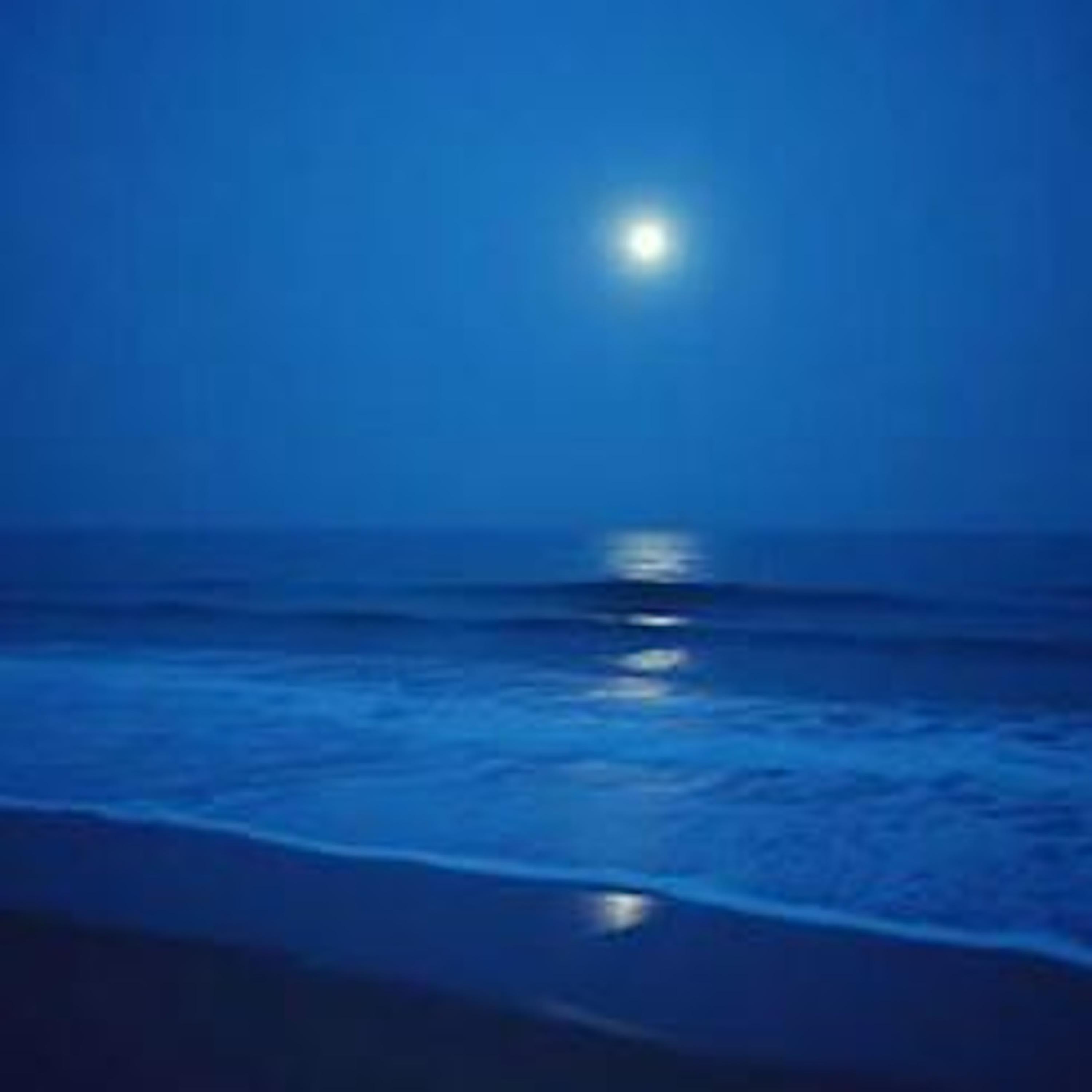 You Will Come Back - Single