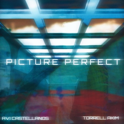 Picture Perfect (feat. TorrellAkim) - Single