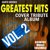 Tribute to Garth Brooks: Greatest Hits, Vol. 2 artwork