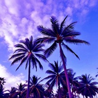 All They See Is Dollar Signs (Instrumental) - Single - COSMOS5D