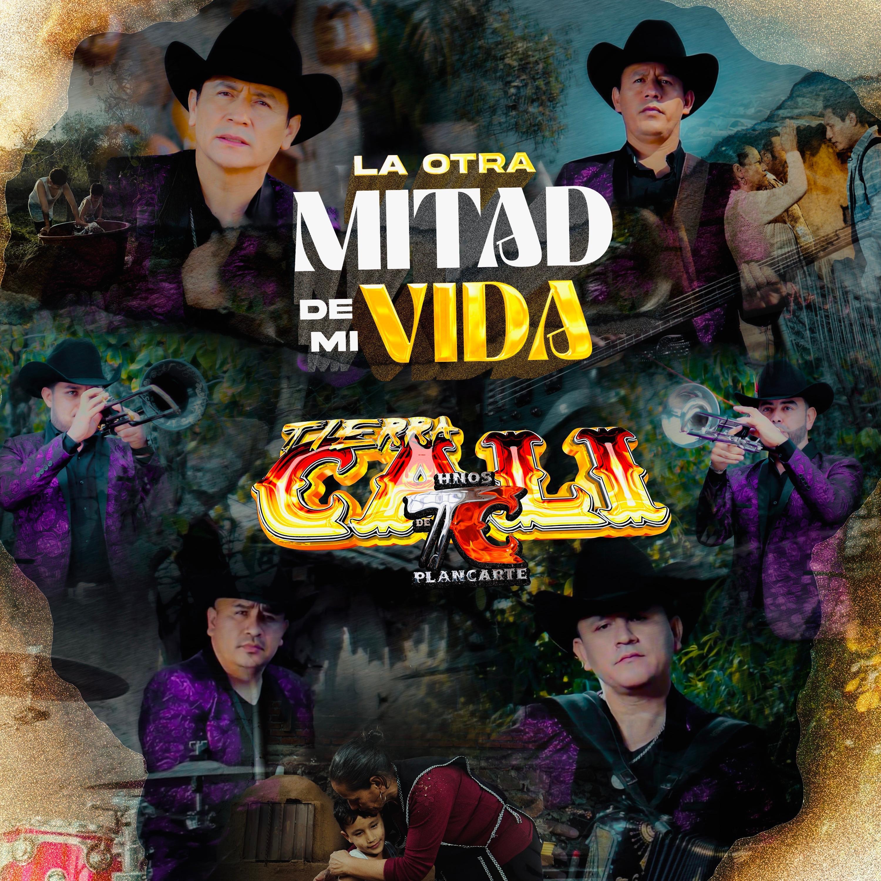 La Otra Mitad De Mi Vida - Single