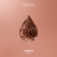 Crowd Pulse - Single - Jordan John & ÜDORĀ