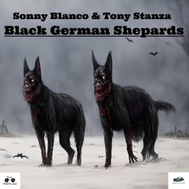 SHADY SCENARY Sonny Blanco