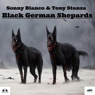 BLACK GERMAN SHEPARD'S