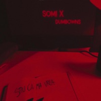 Stiu ca ma vrea (feat. DumboWNS) - Single - Somi