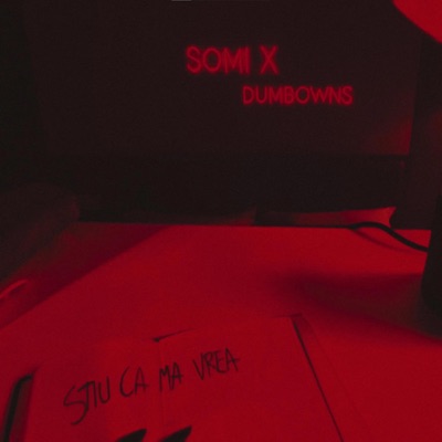 Stiu ca ma vrea (feat. DumboWNS) - Single