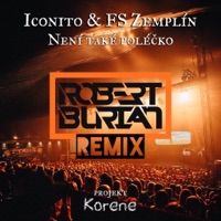 Není také poléčko (Robert Burian Remix) - Single - Robert Burian, FS Zemplín & Iconito