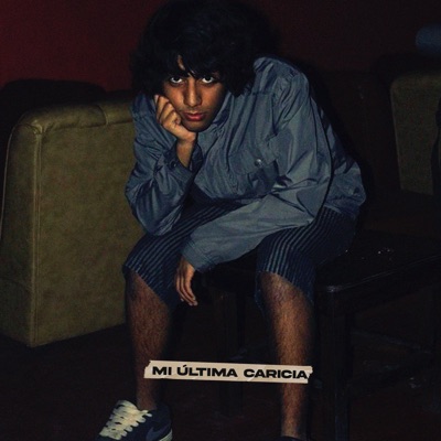Mi Última Caricia - Single