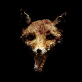 A Carsick Child Faultline