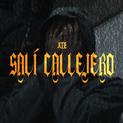 Salí Callejero - Single