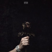 Disculpen Mi Dolor - Single - Jay PR