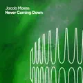 Never Coming Down