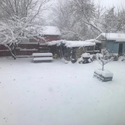 pei flowy - DUI (feat. memory) - Single