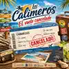 EL VUELO CANCELADO