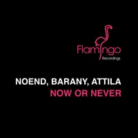 now or never — BARANY ATTILA