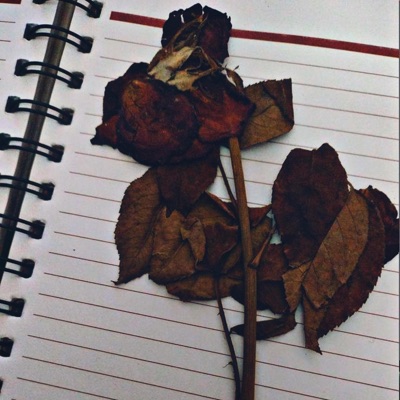 Vertrocknete Rosen - Single