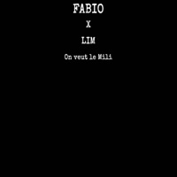 On veut le mili (feat. LIM) - Single - Fabiomsc