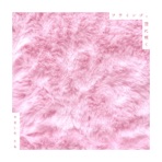 Flamingos Blooming in the Sky - Single