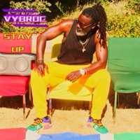 VYBROC (STAY UP) - Single - Vybroc