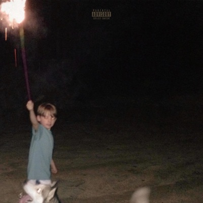 palm tree misery - Single