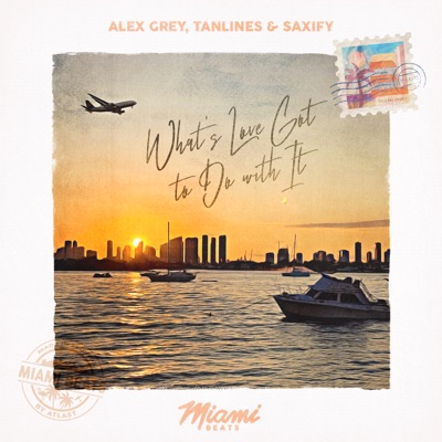 What's Love Got to Do with It - Single