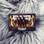 Tiger Bass - Single