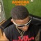 Aurora (feat. Lceja Music) - Young Baba lyrics