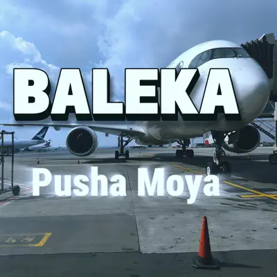 Listen to BALEKA - Single by Pusha Moya
