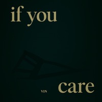 if you care - Single - VIN