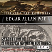 Sämtliche Seltsame Geschichten 2 (William Wilson, Der gestohlene Brief, Der Untergang des Hauses Usher, Bericht über den Fall Valdemar, Metzengerstein, In der Tiefe des Maelstroms.) - Edgar Allan Poe