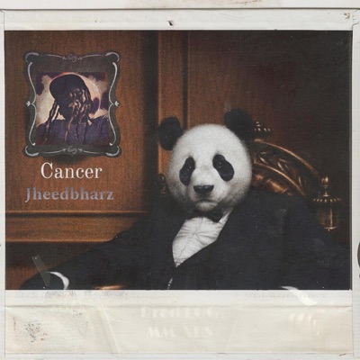 Cancer - Single